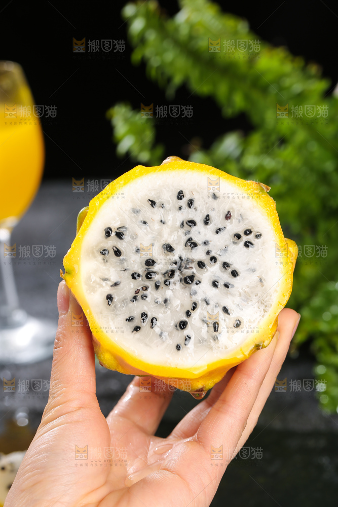 深底上的燕窝果