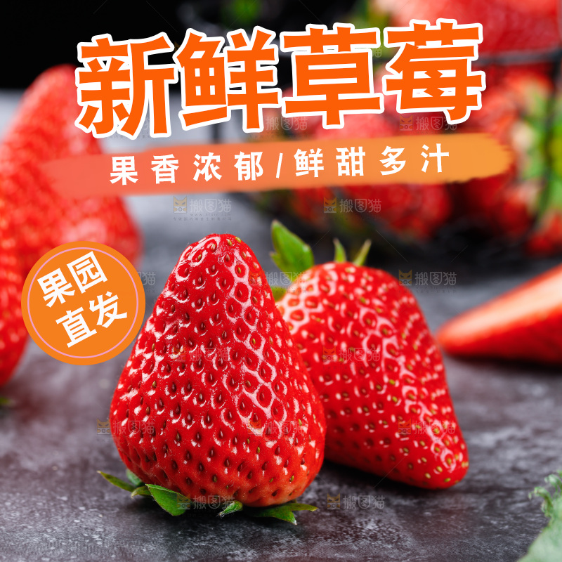 深底上的丹东草莓