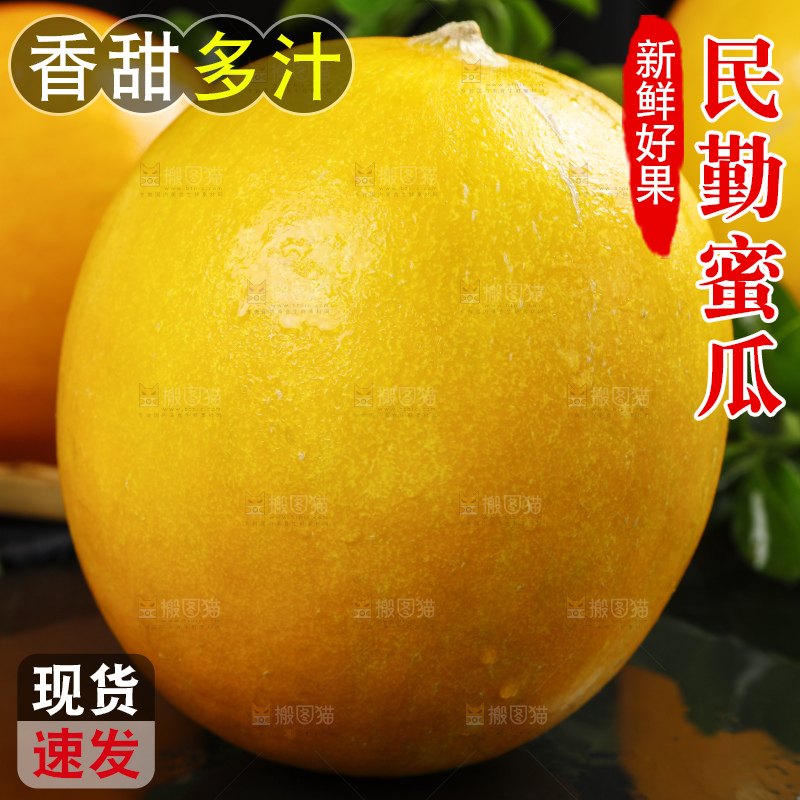 深底上的黄河蜜瓜