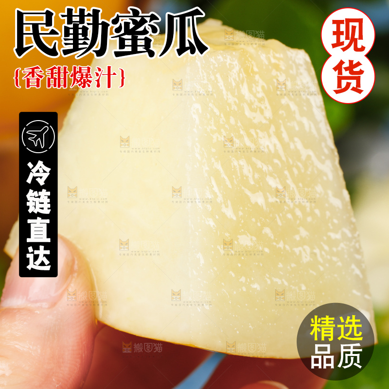 浅底上的黄河蜜瓜