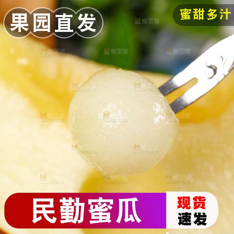 浅底上的黄河蜜瓜