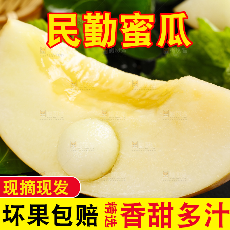 深底上的黄河蜜瓜