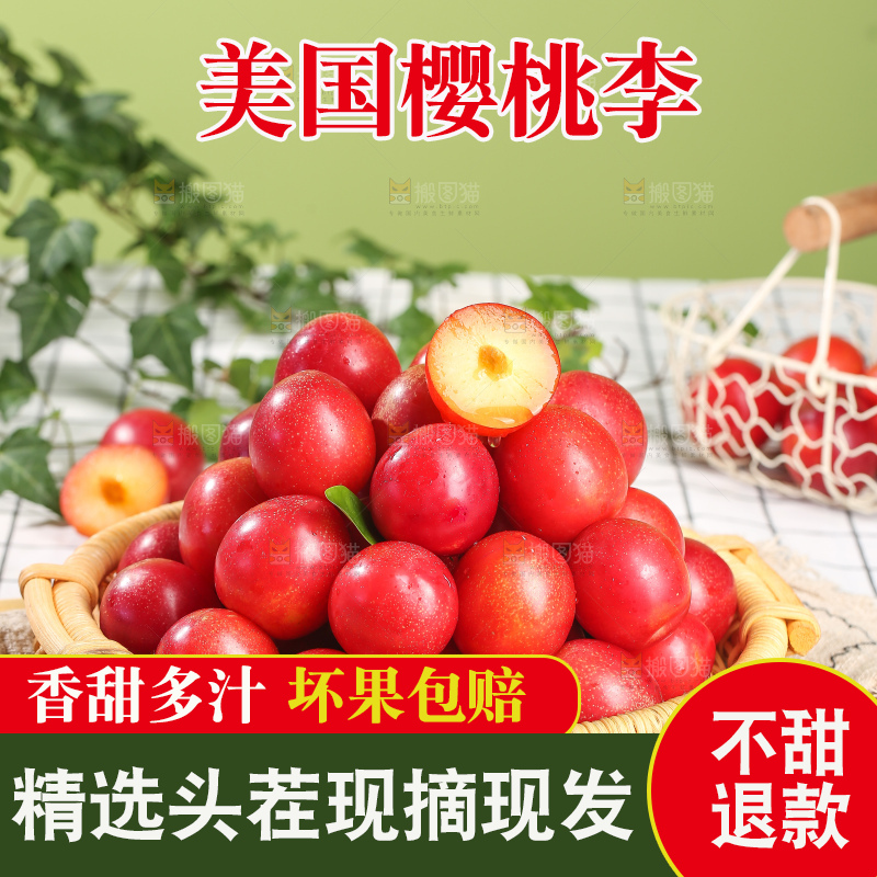 浅底上的樱桃李