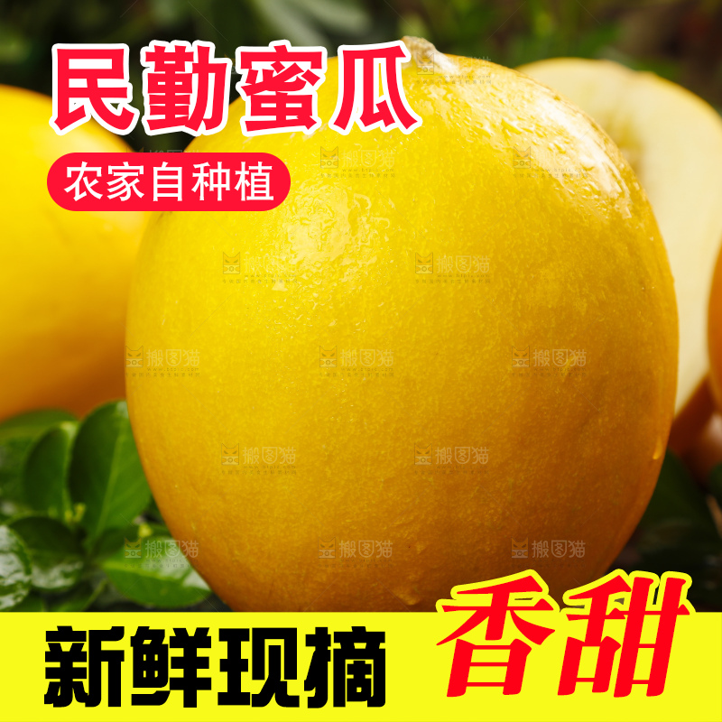 深底上的黄河蜜瓜