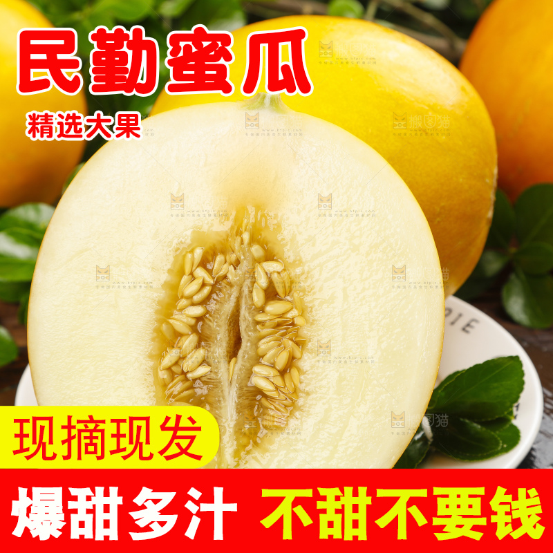 深底上的黄河蜜瓜