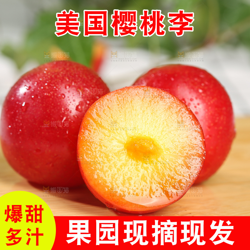 浅底上的樱桃李