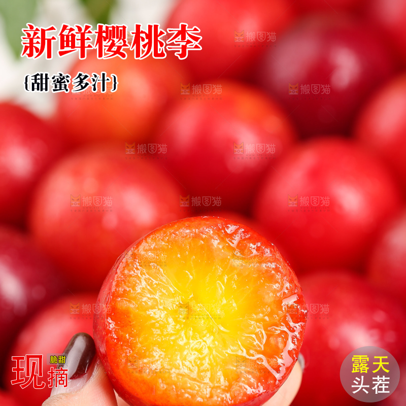 浅底上的樱桃李