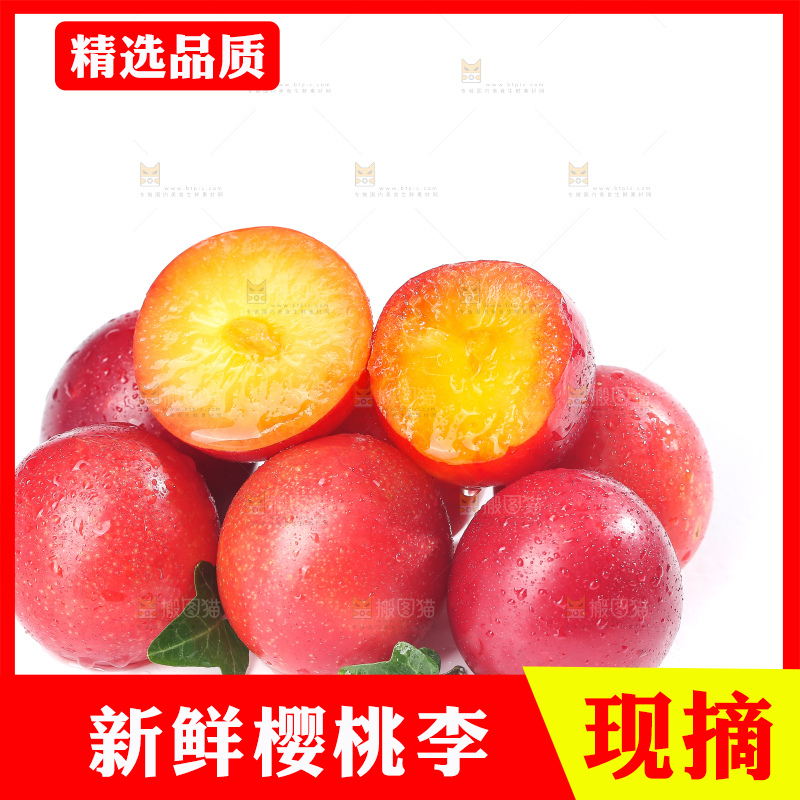 白底上的樱桃李