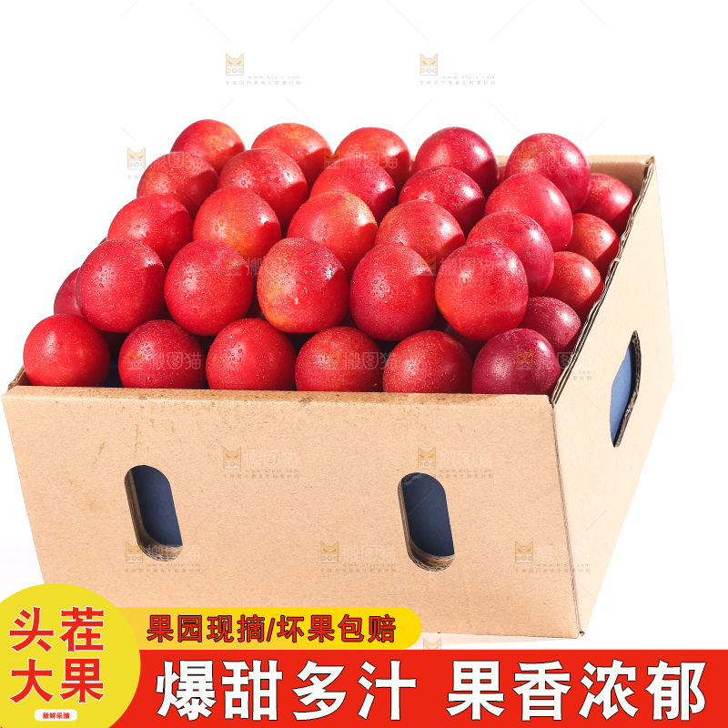白底上的樱桃李
