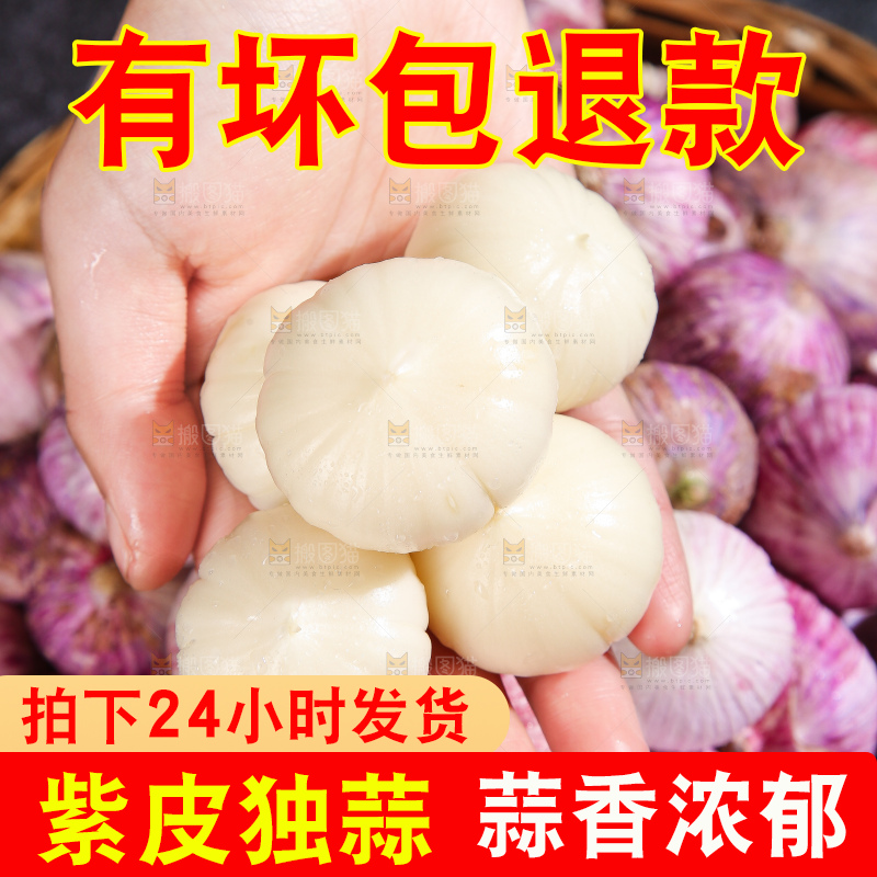 深底上的紫皮独蒜