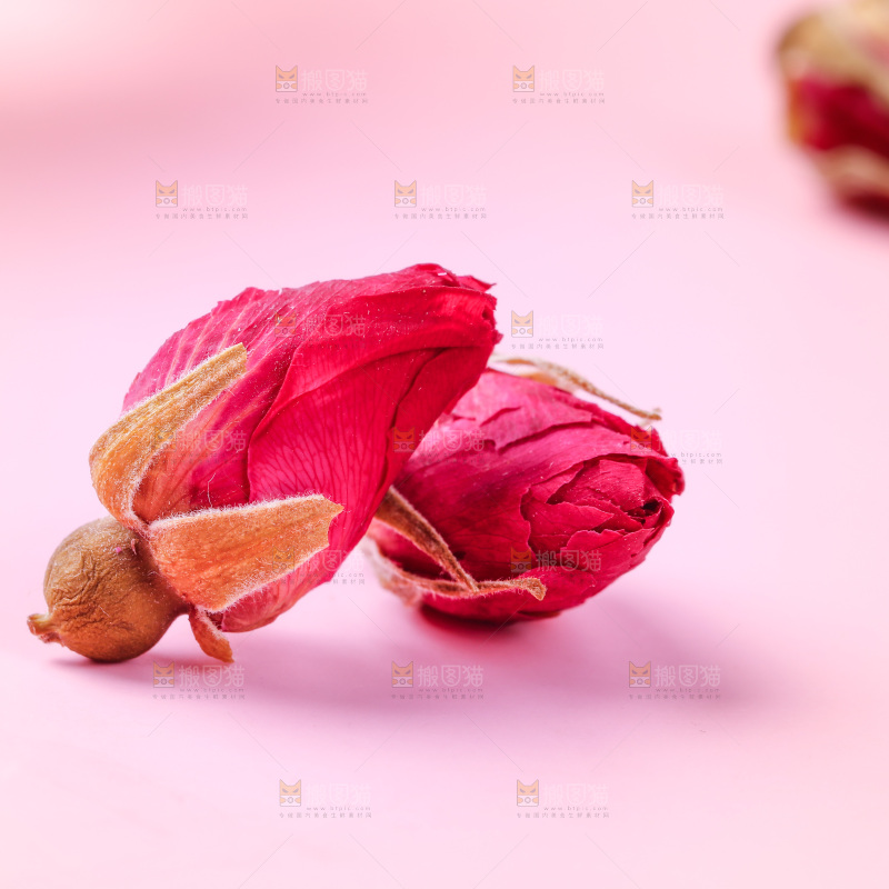 浅底上的玫瑰花干