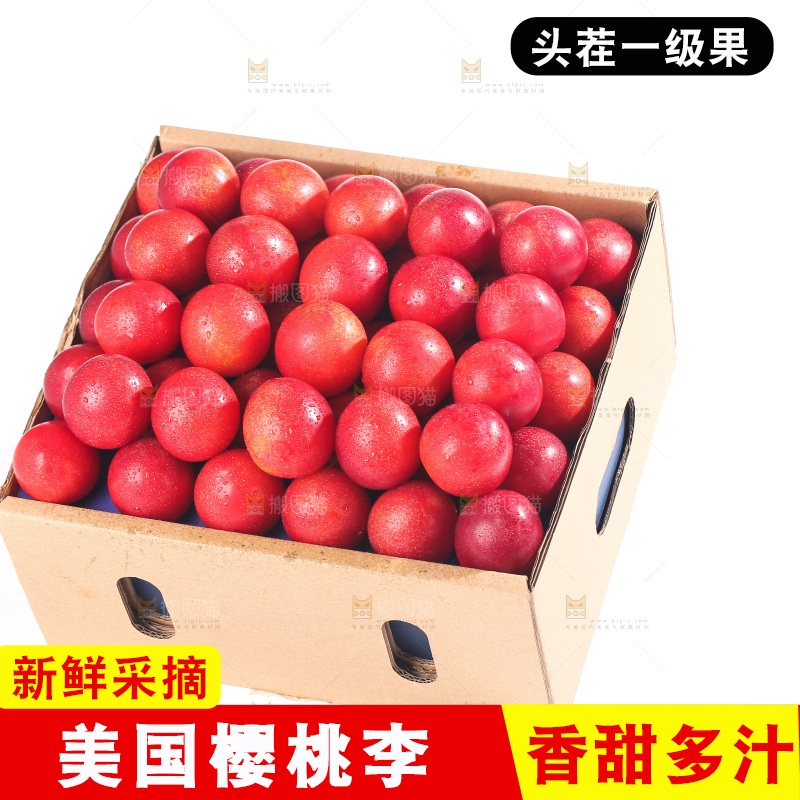 白底上的樱桃李
