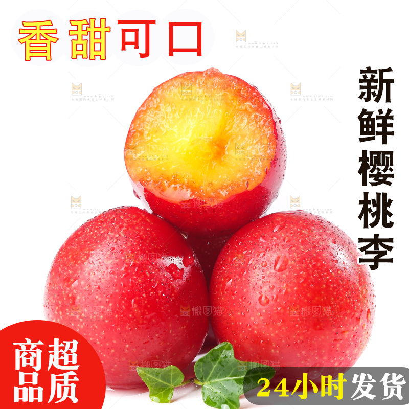 白底上的樱桃李