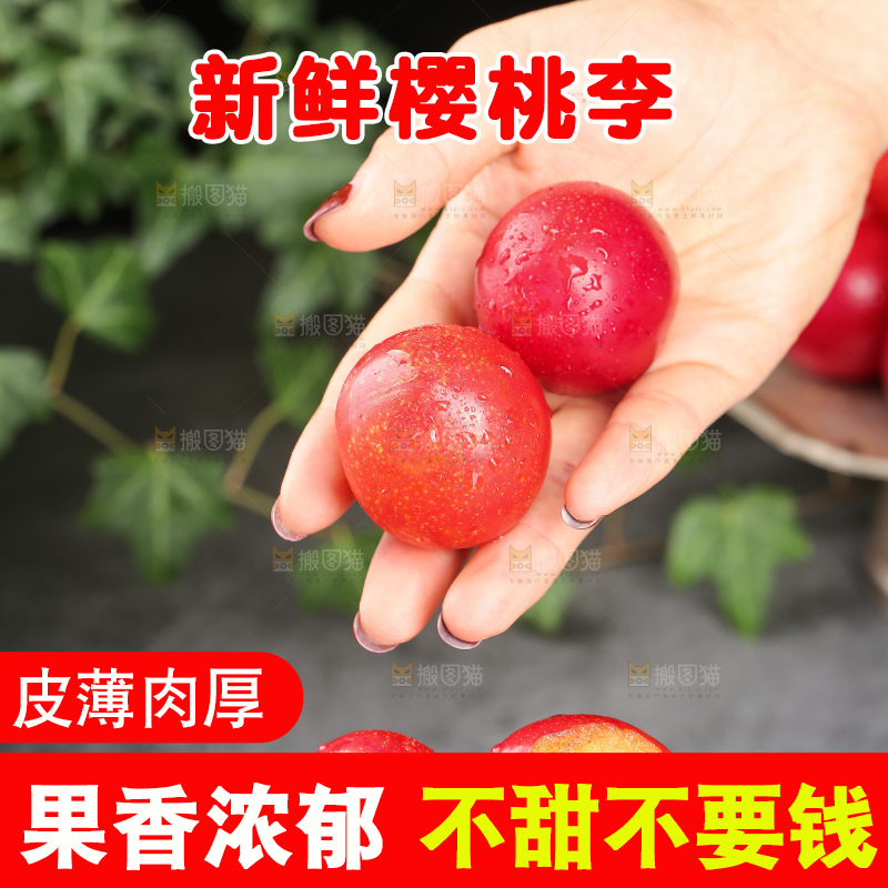 深底上的樱桃李