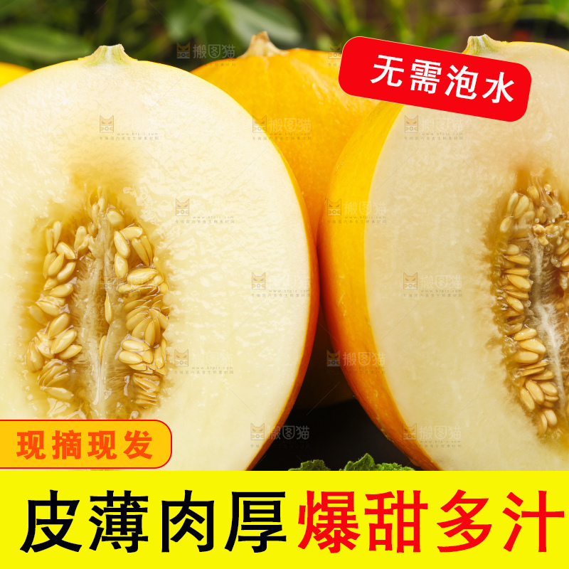 深底上的黄河蜜瓜