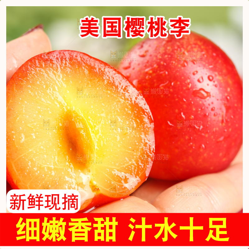 浅底上的樱桃李