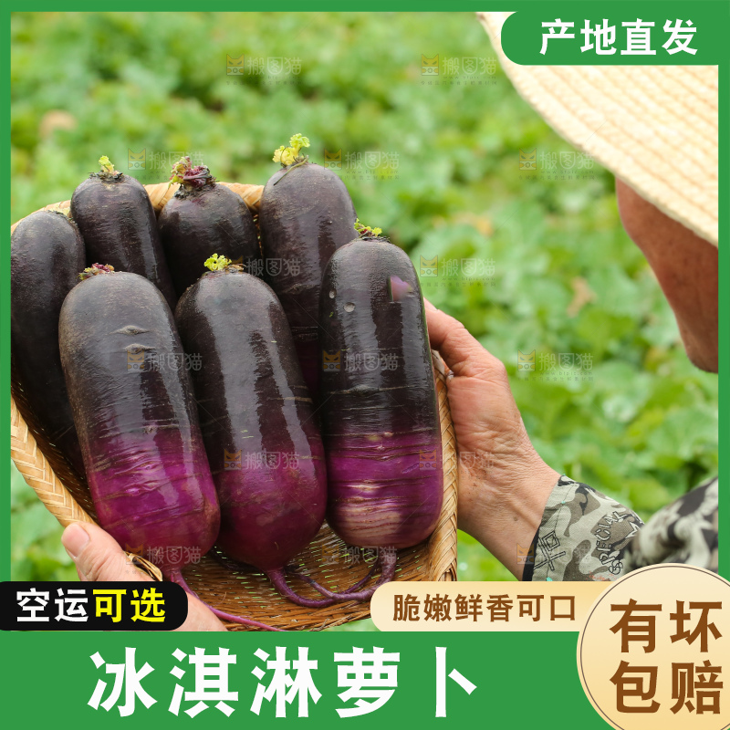 手里拿着冰淇凌萝卜