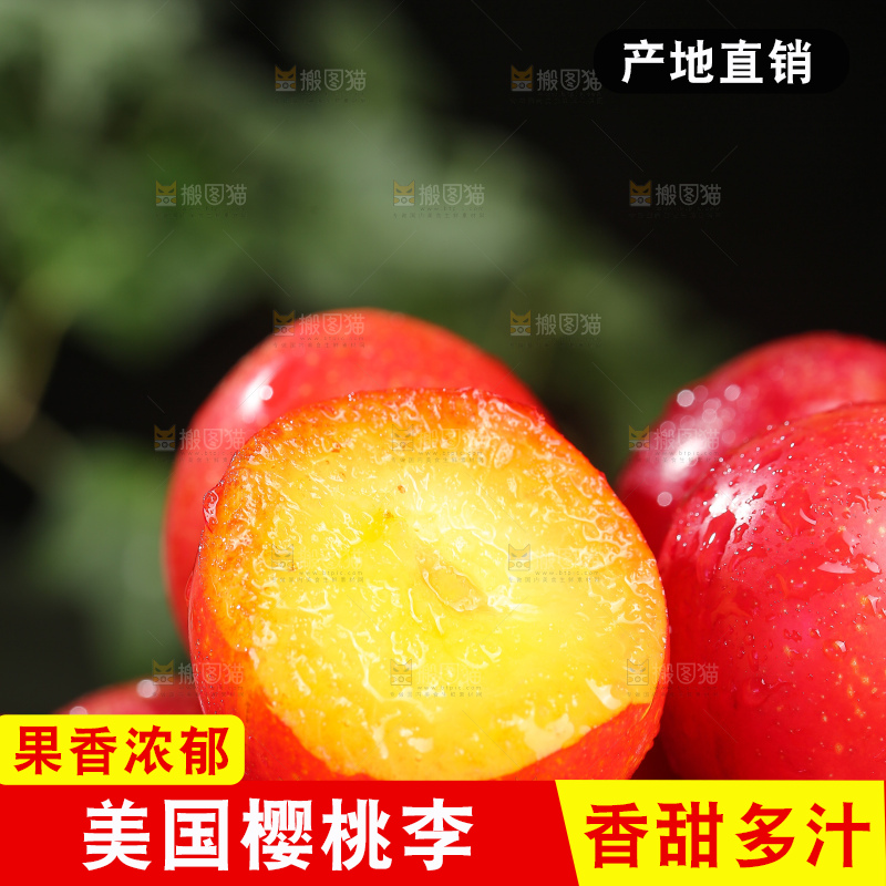 深底上的樱桃李