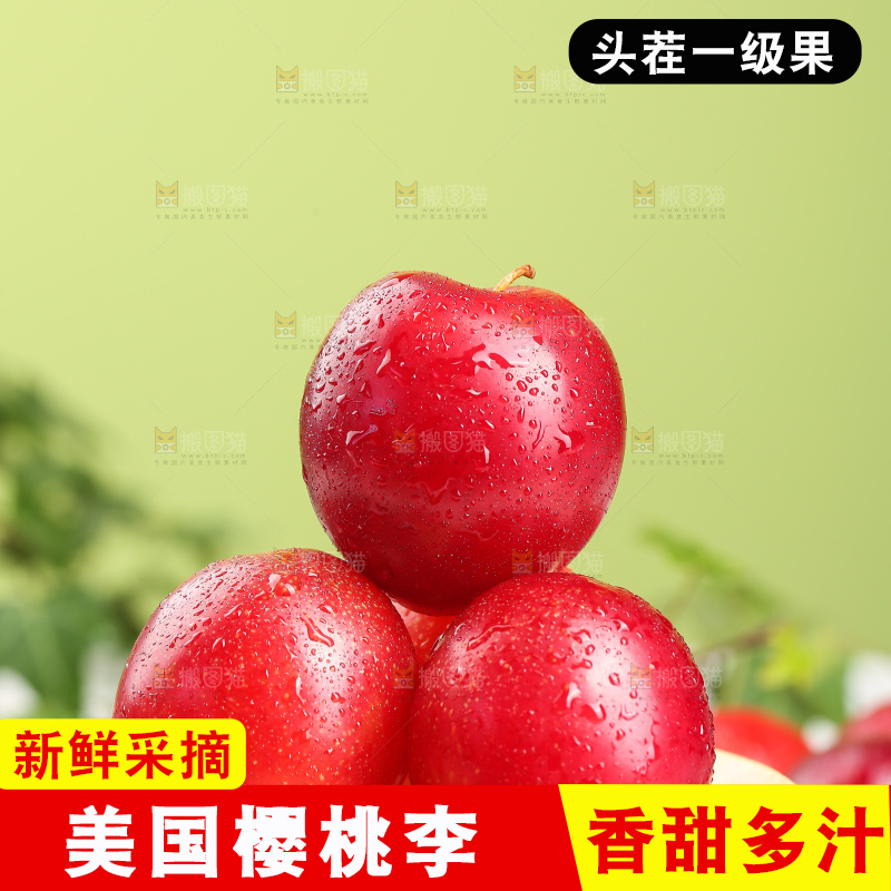 浅底上的樱桃李