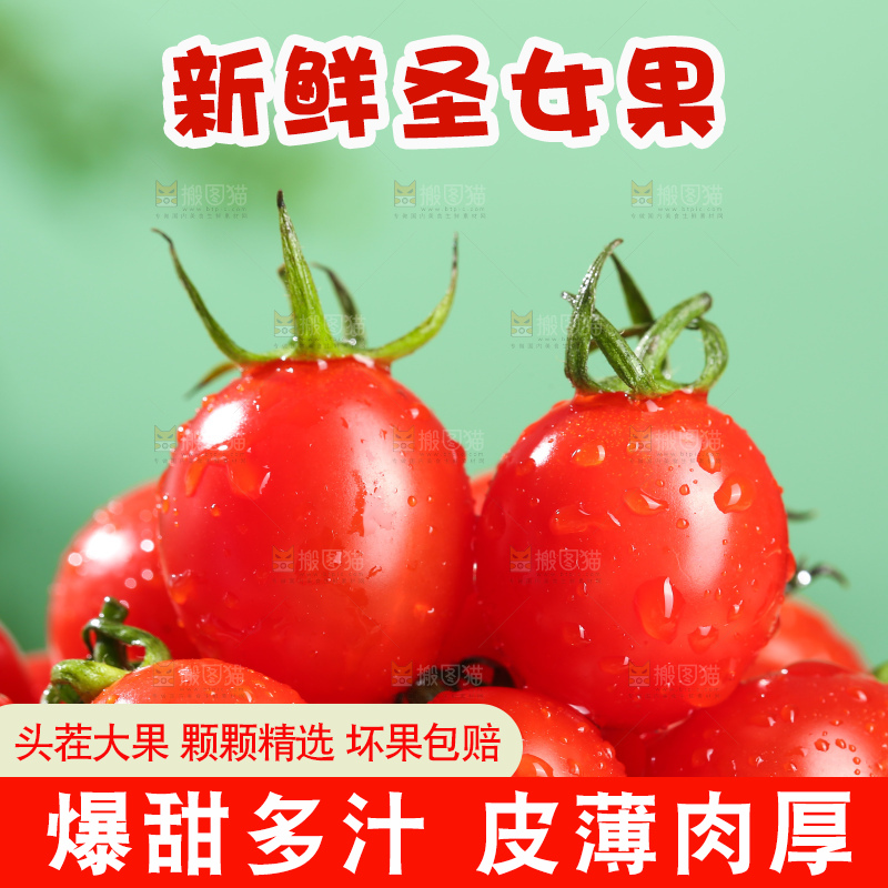 浅底上的圣女果