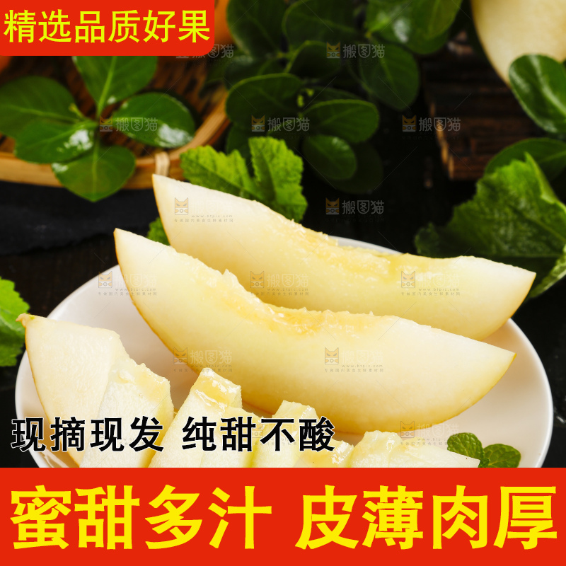 深底上的黄河蜜瓜