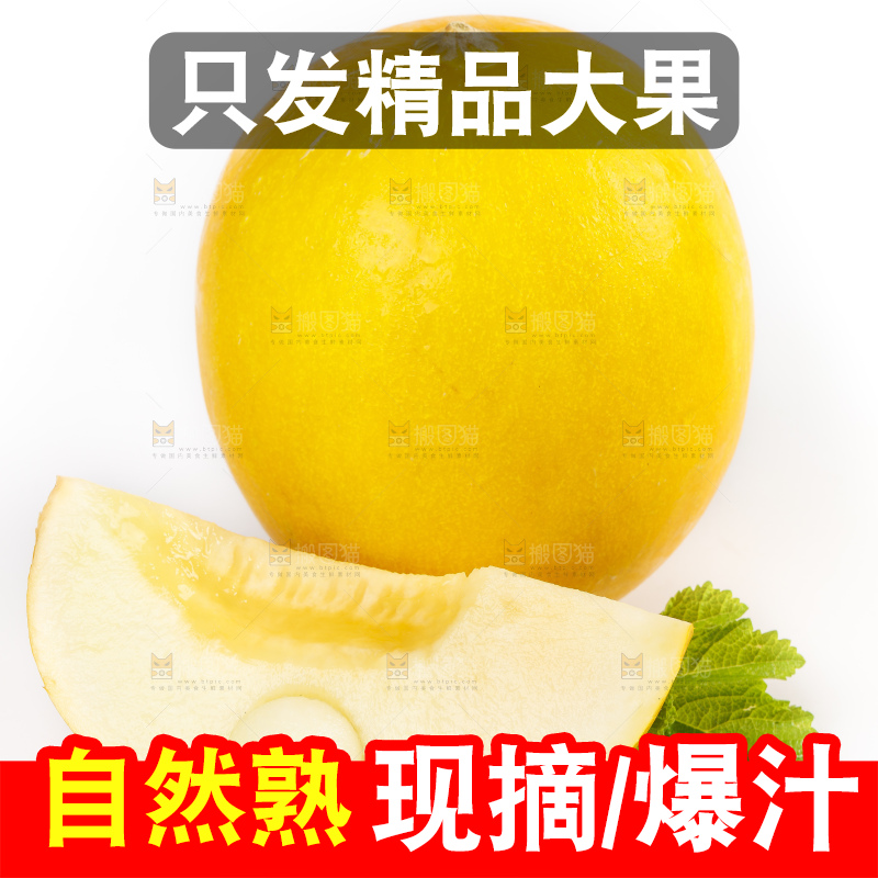 白底上的黄河蜜瓜