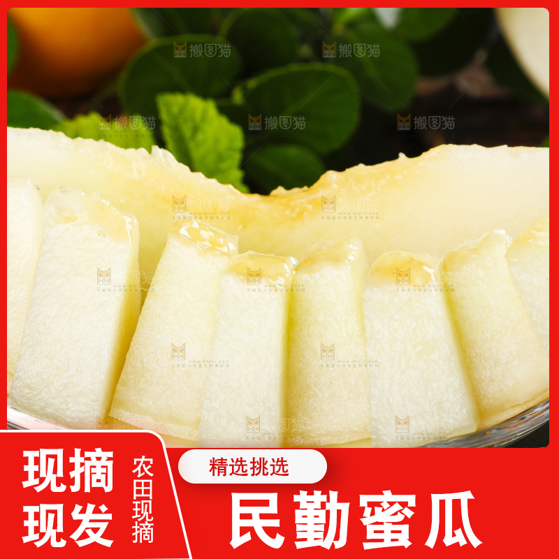深底上的黄河蜜瓜
