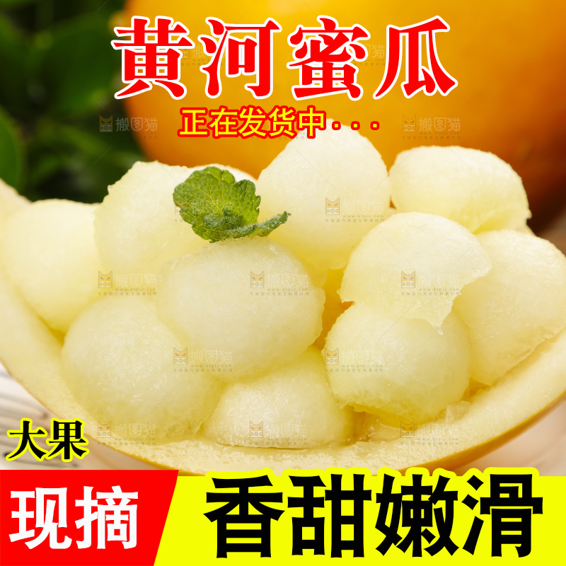 深底上的黄河蜜瓜