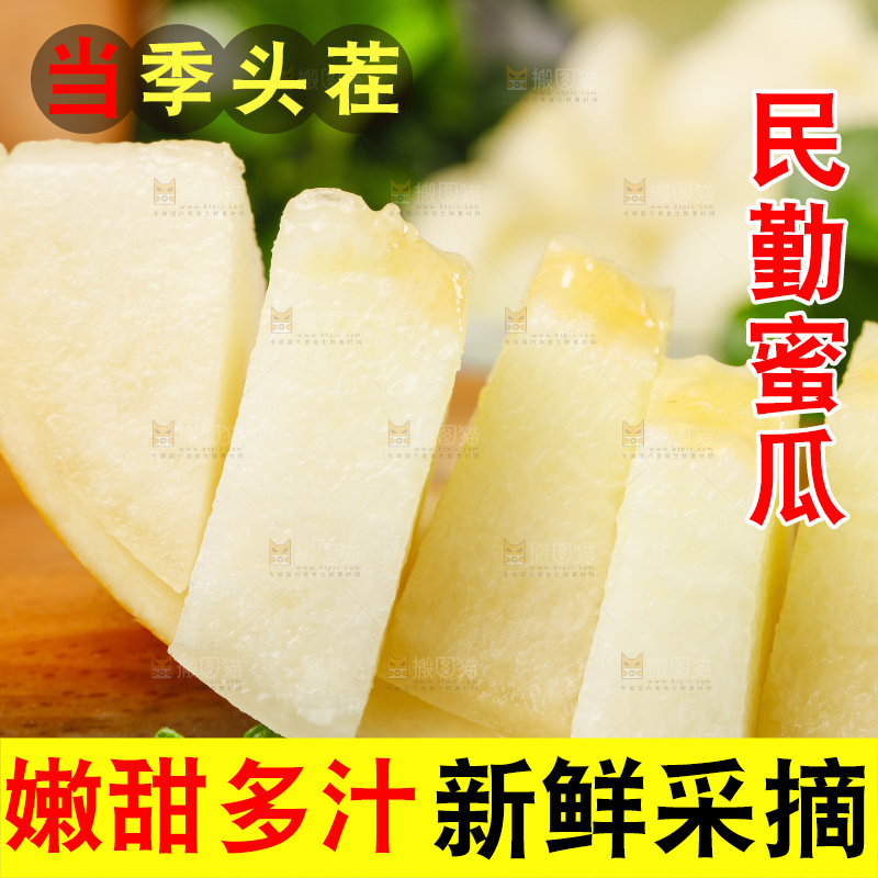 浅底上的黄河蜜瓜