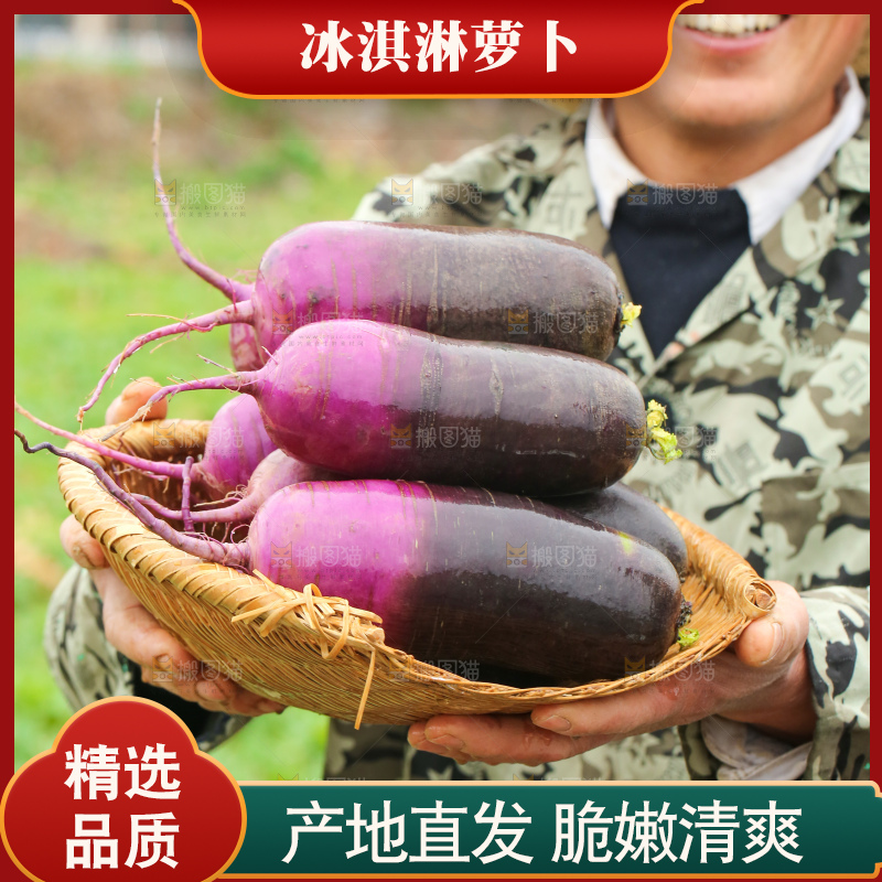 手里拿着冰淇凌萝卜