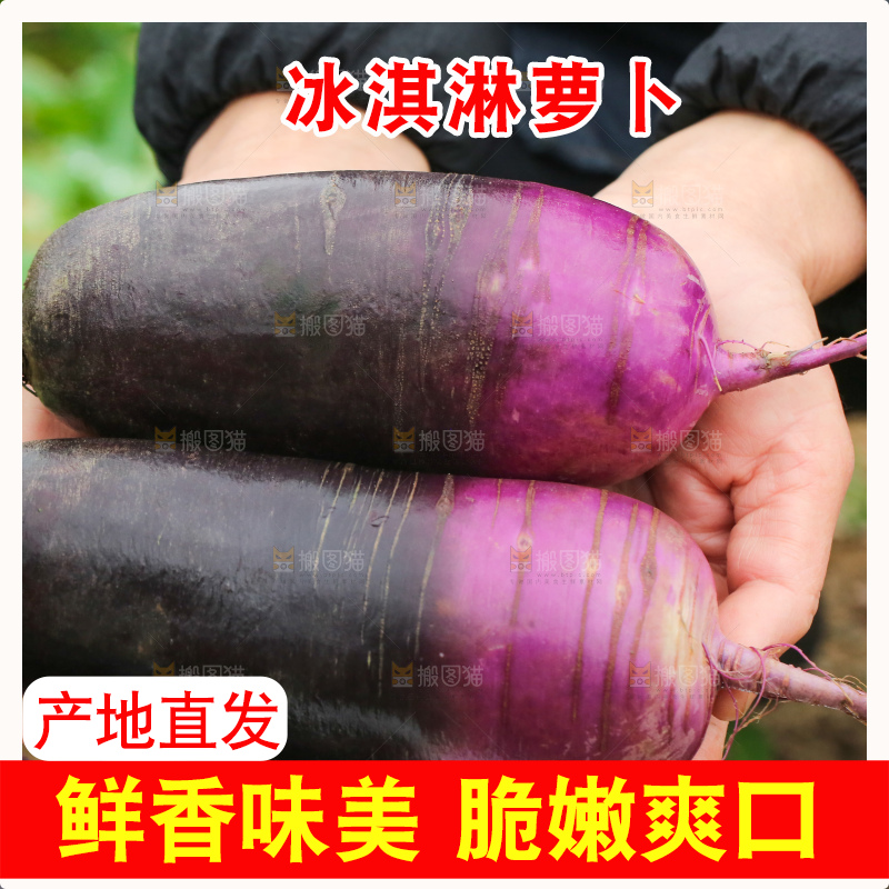 手里拿着冰淇凌萝卜