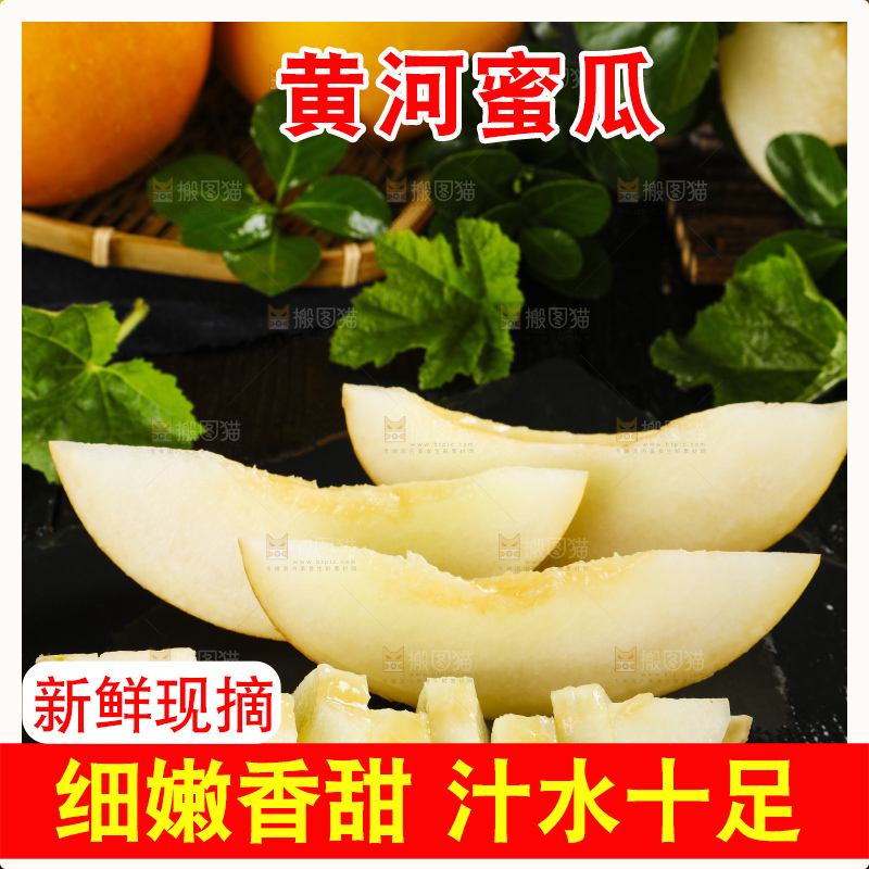 深底上的黄河蜜瓜