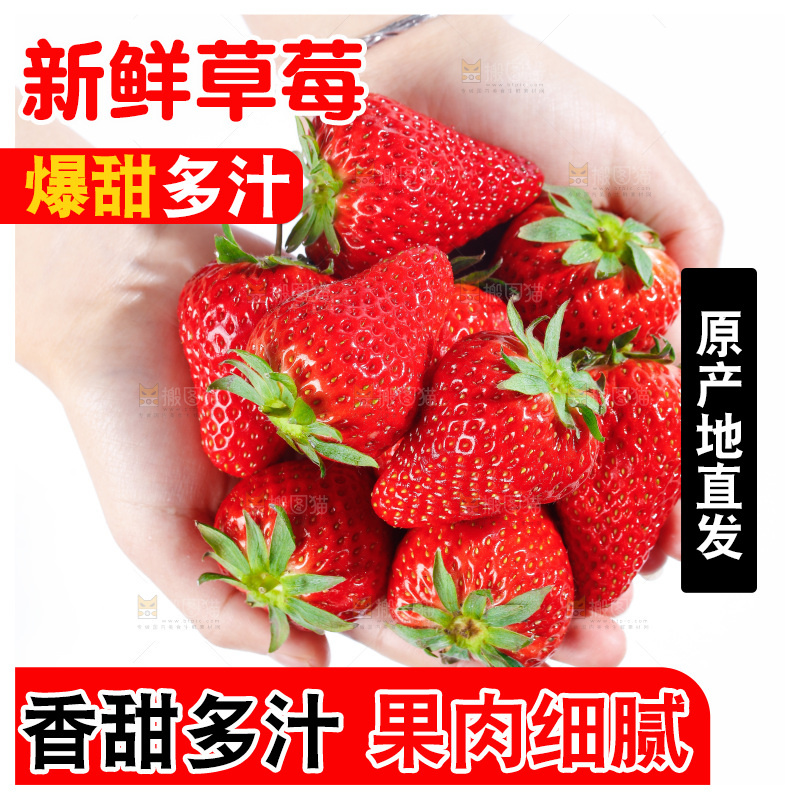手里拿着丹东草莓