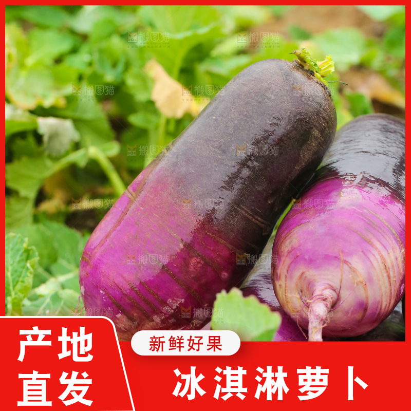 地里的冰淇凌萝卜