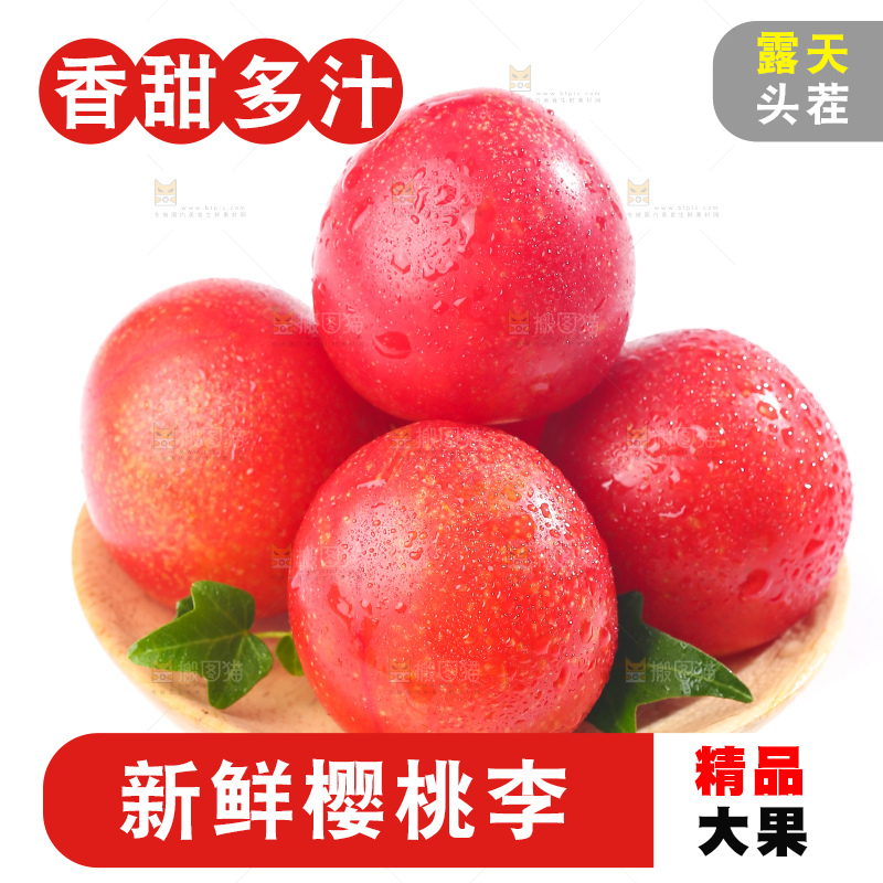 白底上的樱桃李