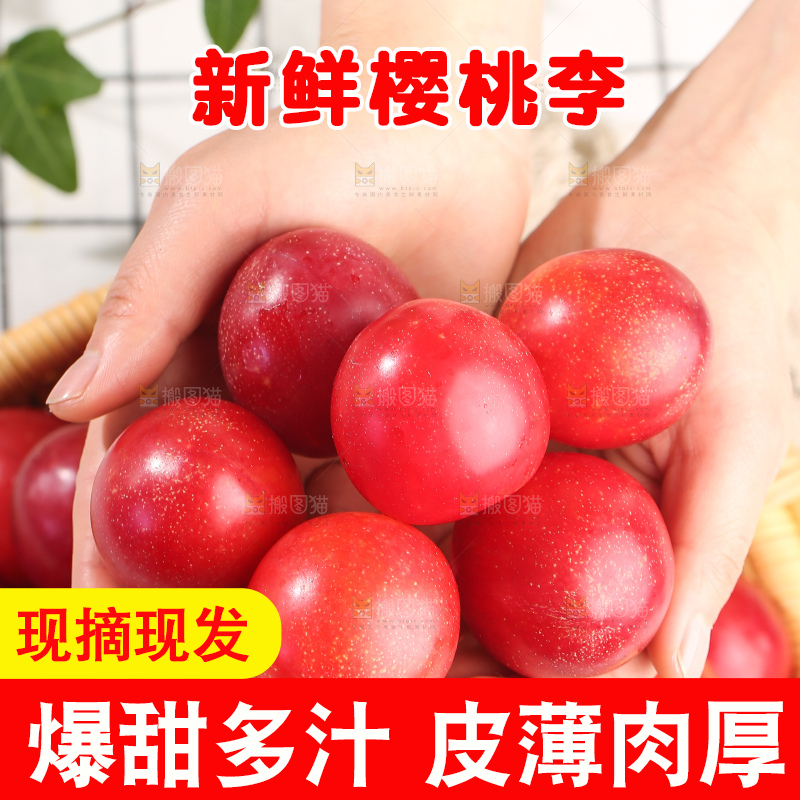 浅底上的樱桃李