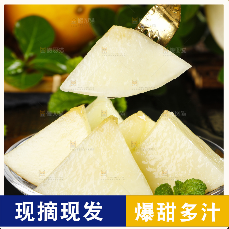 深底上的黄河蜜瓜
