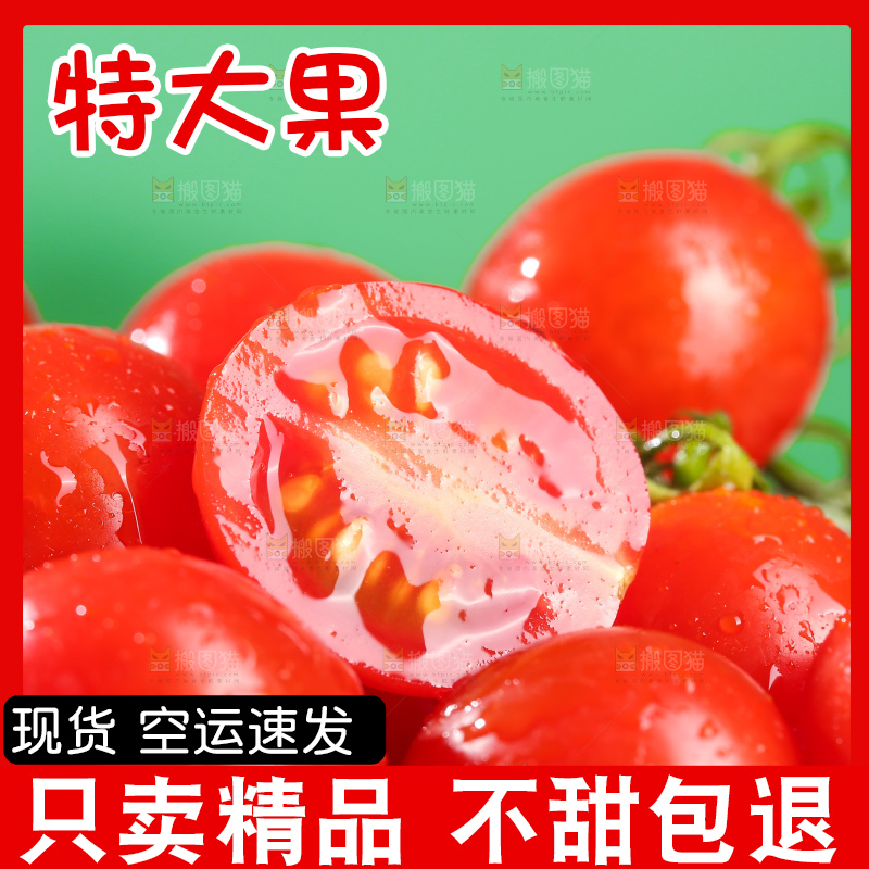 浅底上的圣女果