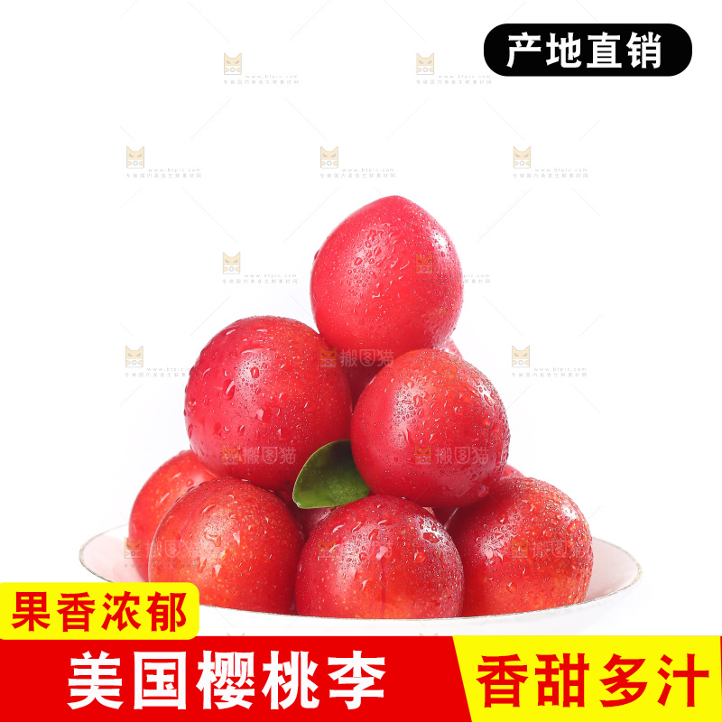 白底上的樱桃李