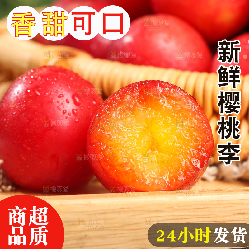 浅底上的樱桃李
