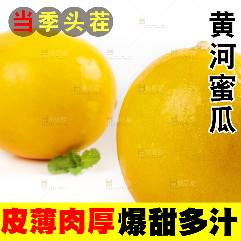 白底上的黄河蜜瓜