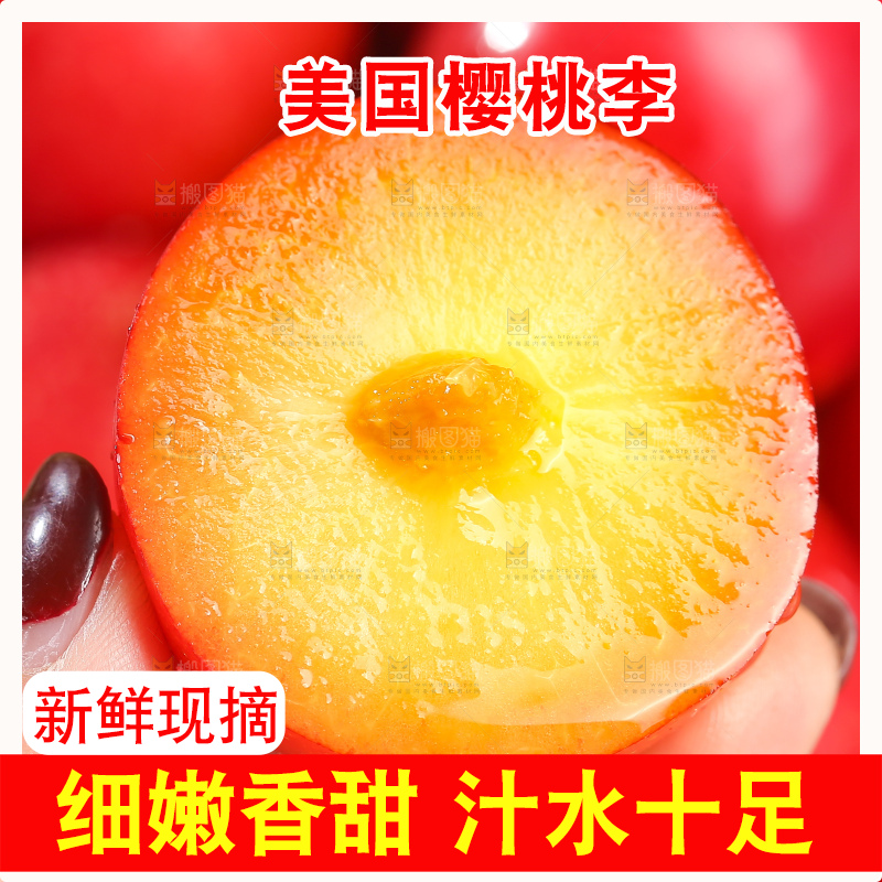浅底上的樱桃李
