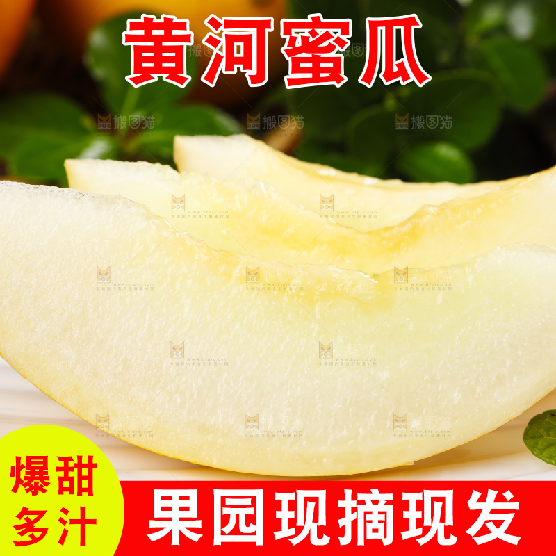 深底上的黄河蜜瓜