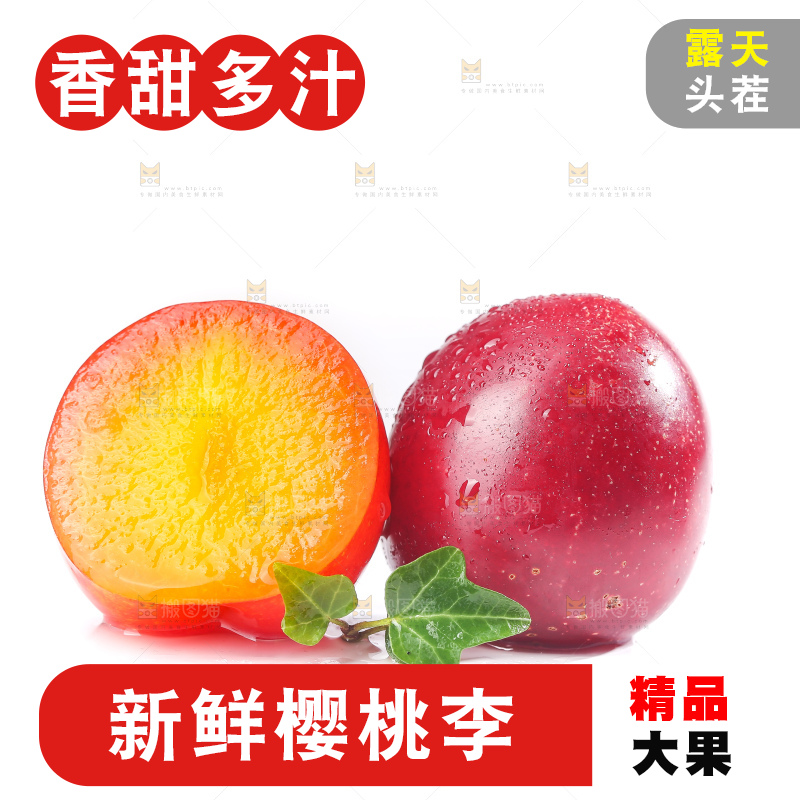 白底上的樱桃李