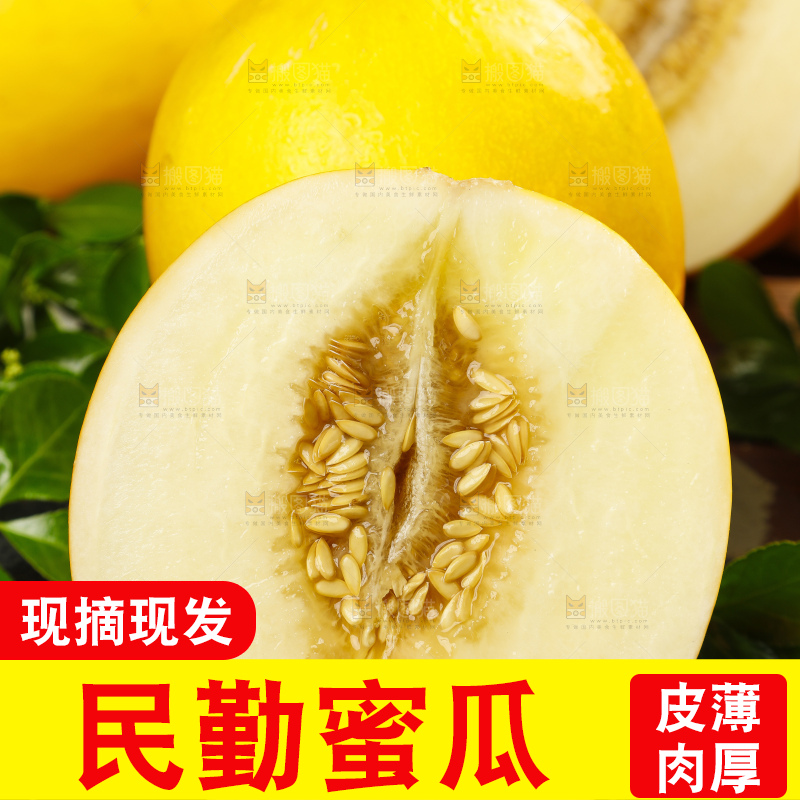 深底上的黄河蜜瓜