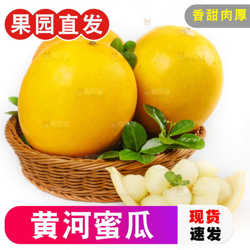 白底上的黄河蜜瓜