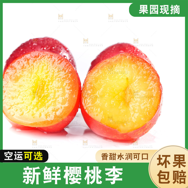 白底上的樱桃李