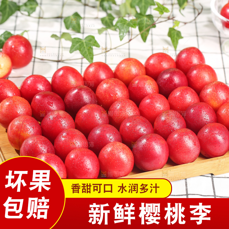 浅底上的樱桃李