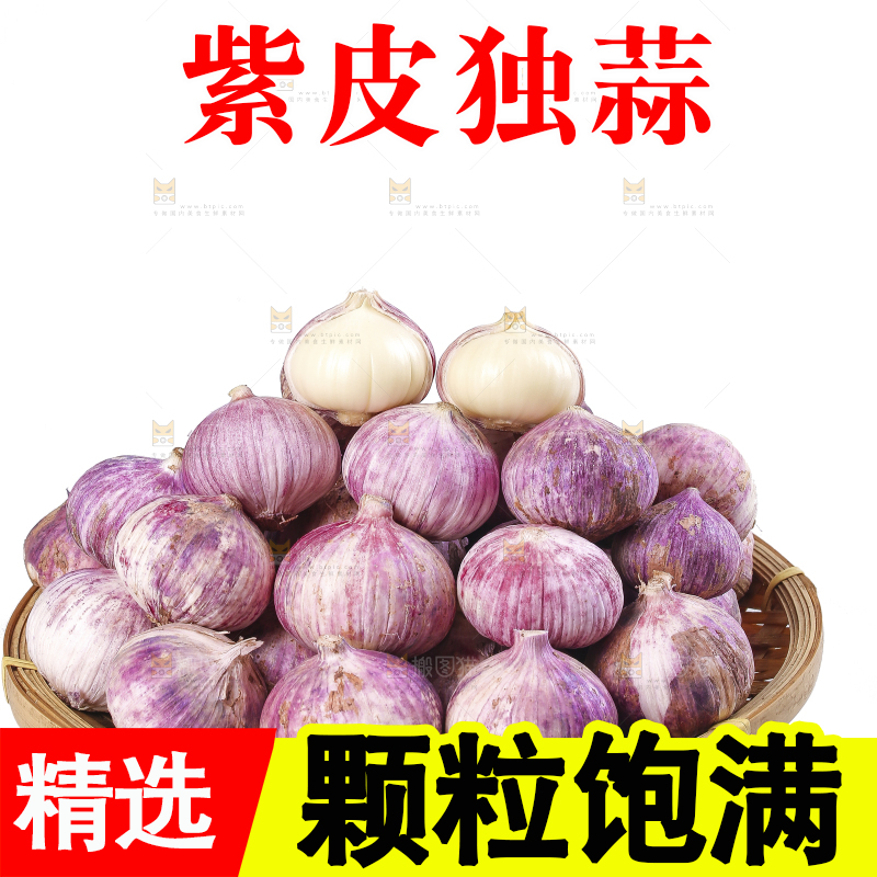 白底上的紫皮独头蒜