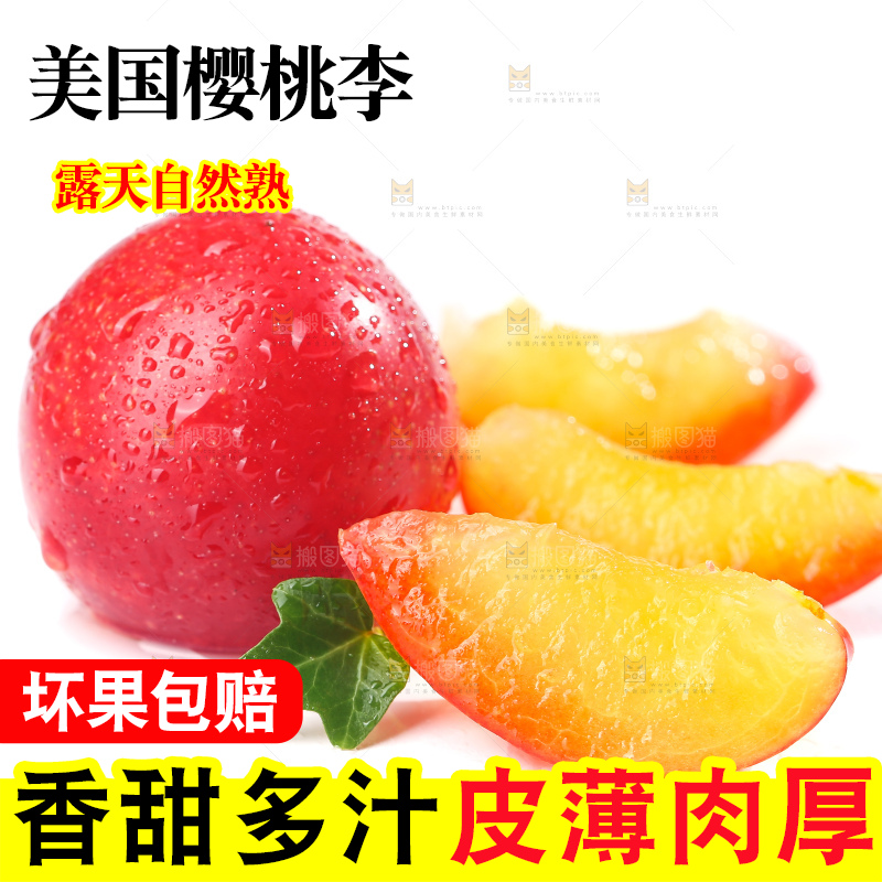 白底上的樱桃李